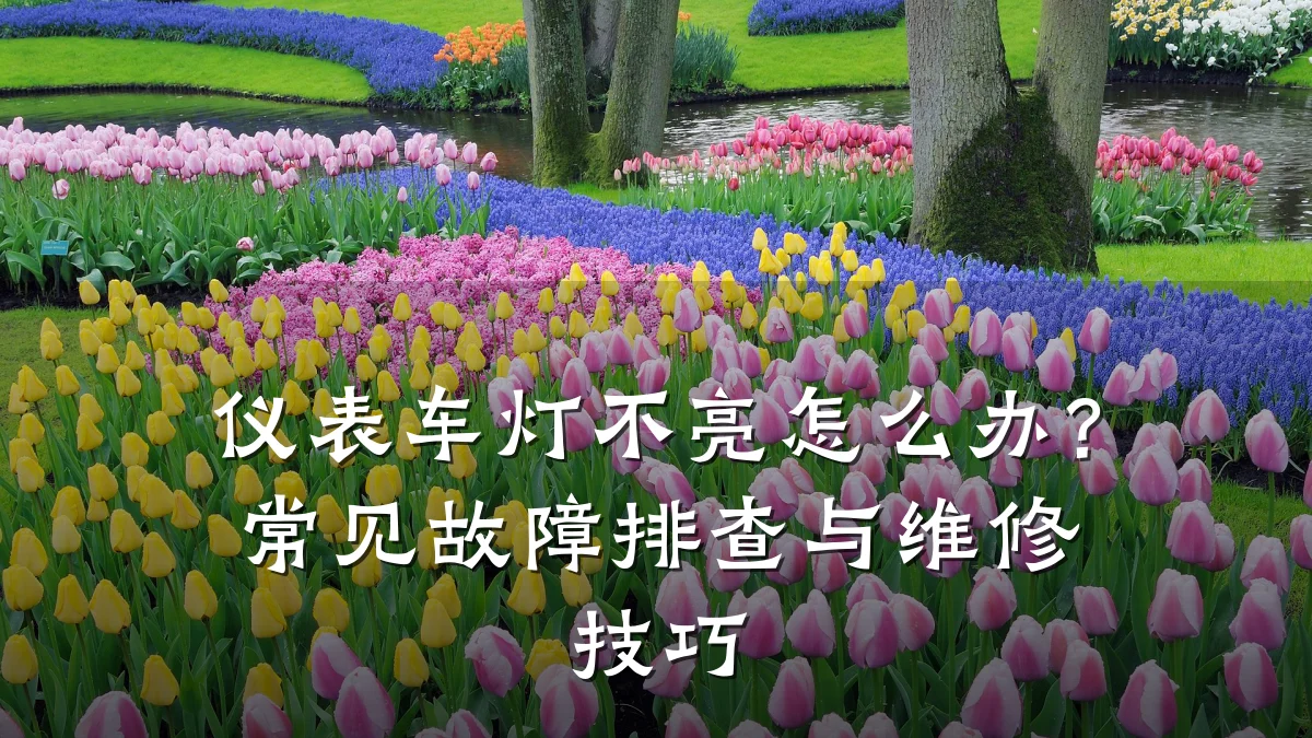 仪表车灯不亮怎么办?常见故障排查与维修技巧
