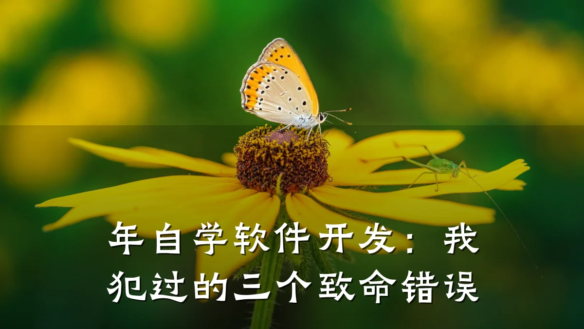 年自学软件开发:我犯过的三个致命错误