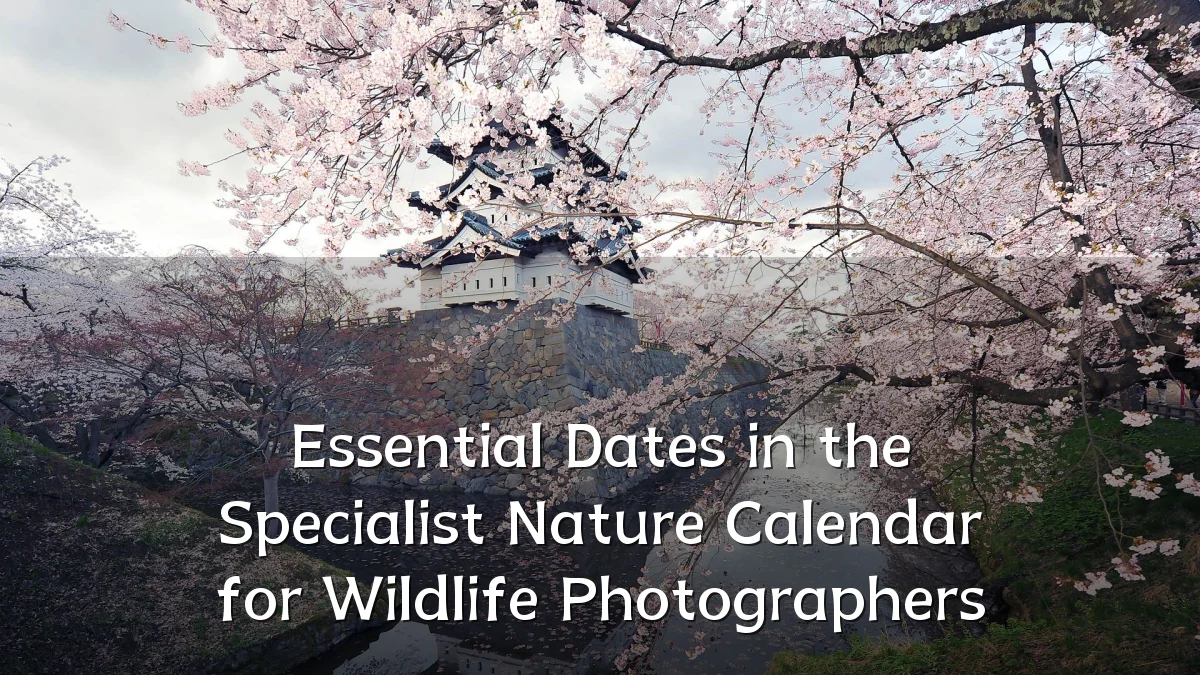 Essential Dates in the Specialist Nature Calendar for Wildlife Photographers