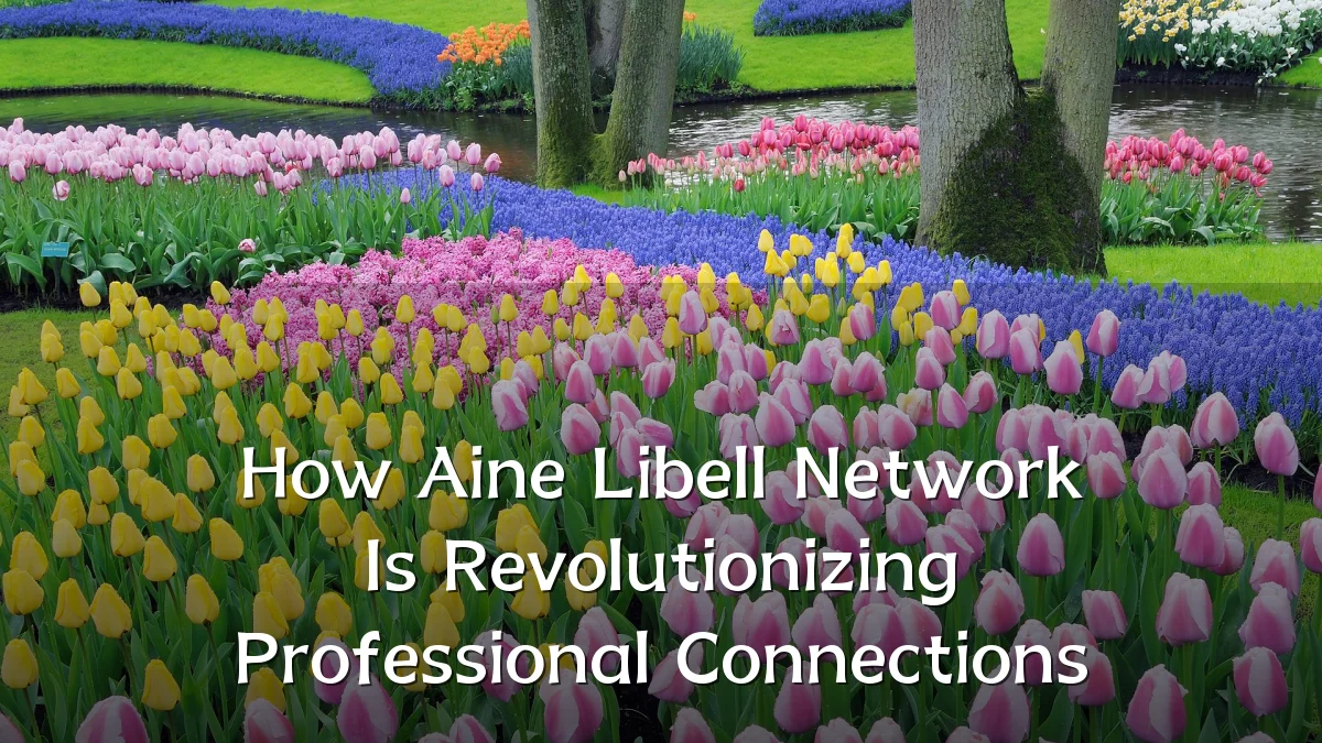 How Aine Libell Network Is Revolutionizing Professional Connections