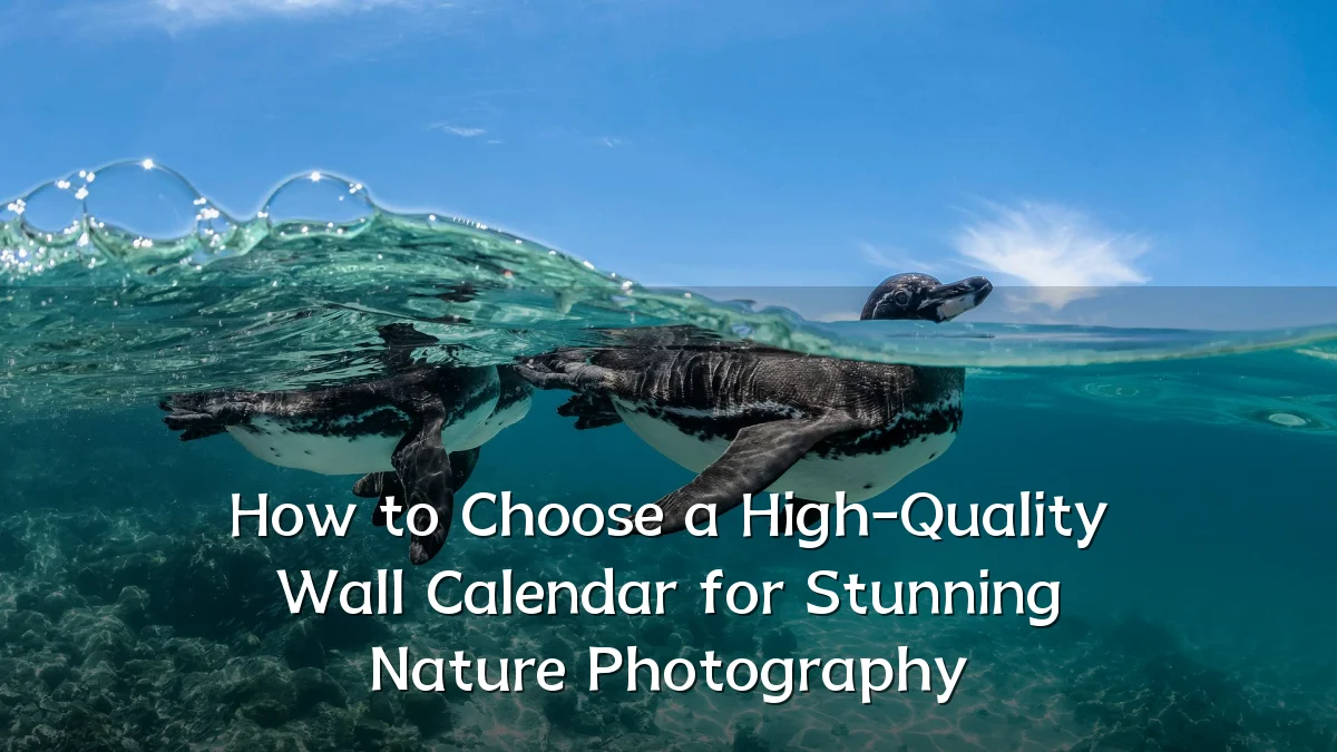 How to Choose a High-Quality Wall Calendar for Stunning Nature Photography