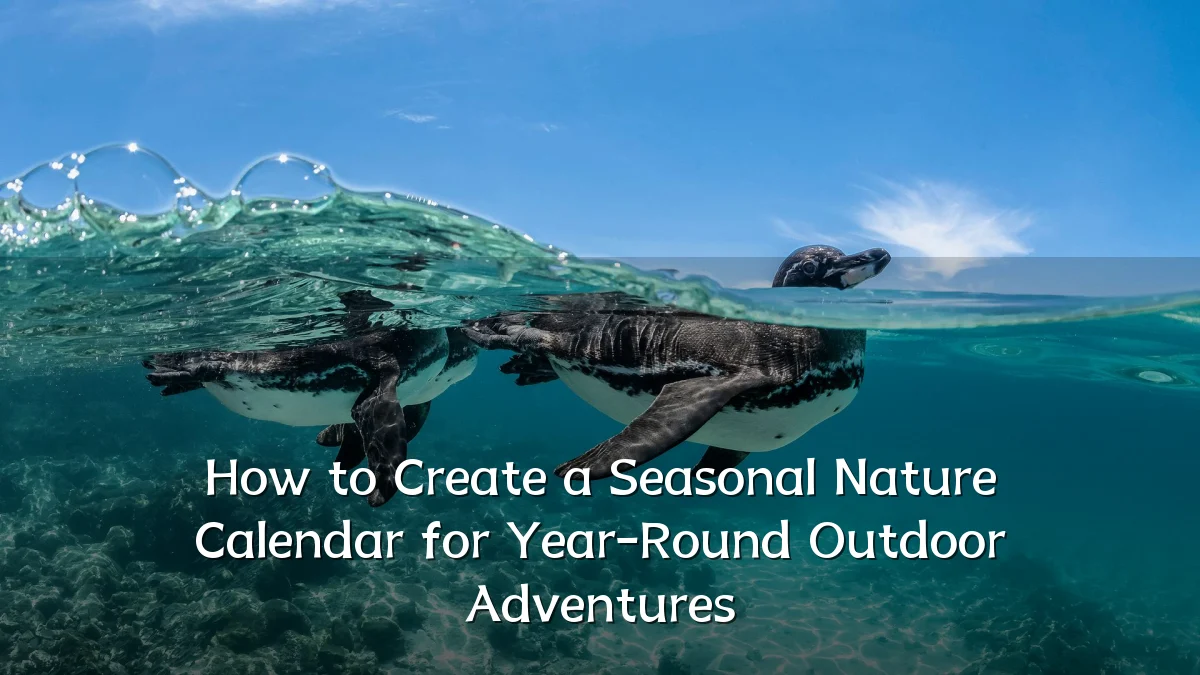 How to Create a Seasonal Nature Calendar for Year-Round Outdoor Adventures