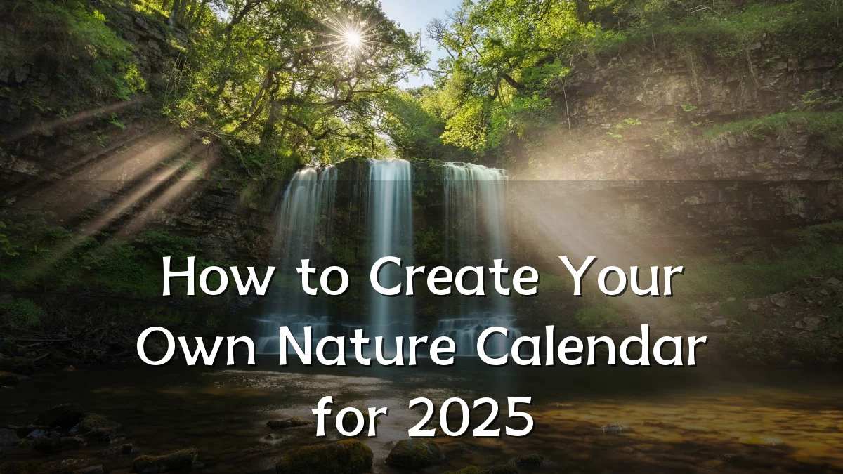 How to Create Your Own Nature Calendar for 2025