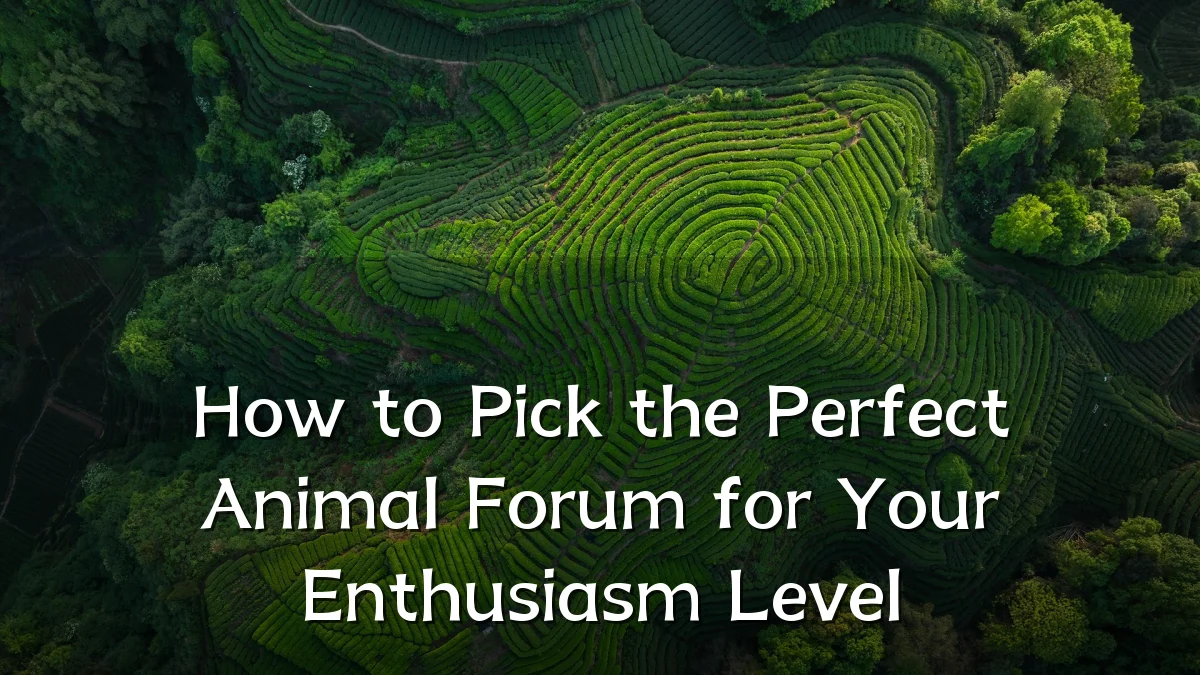 How to Pick the Perfect Animal Forum for Your Enthusiasm Level