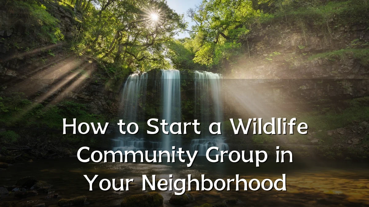 How to Start a Wildlife Community Group in Your Neighborhood