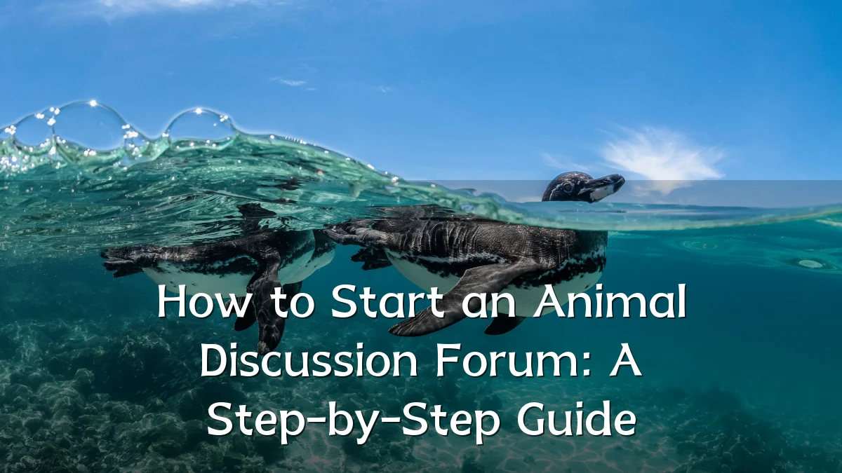 How to Start an Animal Discussion Forum: A Step-by-Step Guide