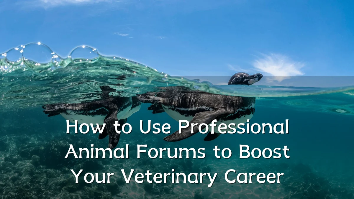 How to Use Professional Animal Forums to Boost Your Veterinary Career