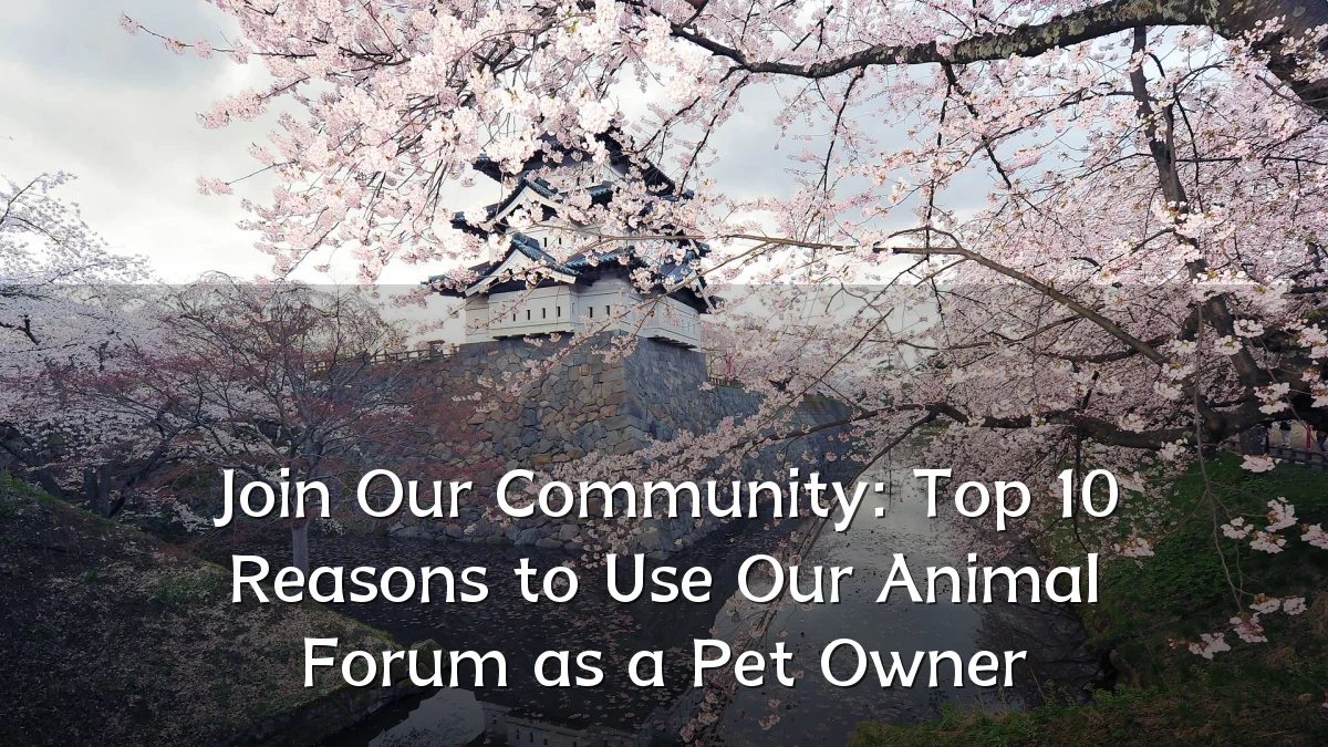 Join Our Community: Top 10 Reasons to Use Our Animal Forum as a Pet Owner