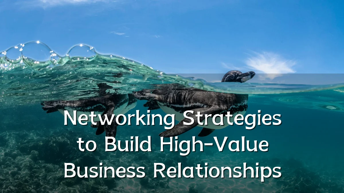 Networking Strategies to Build High-Value Business Relationships