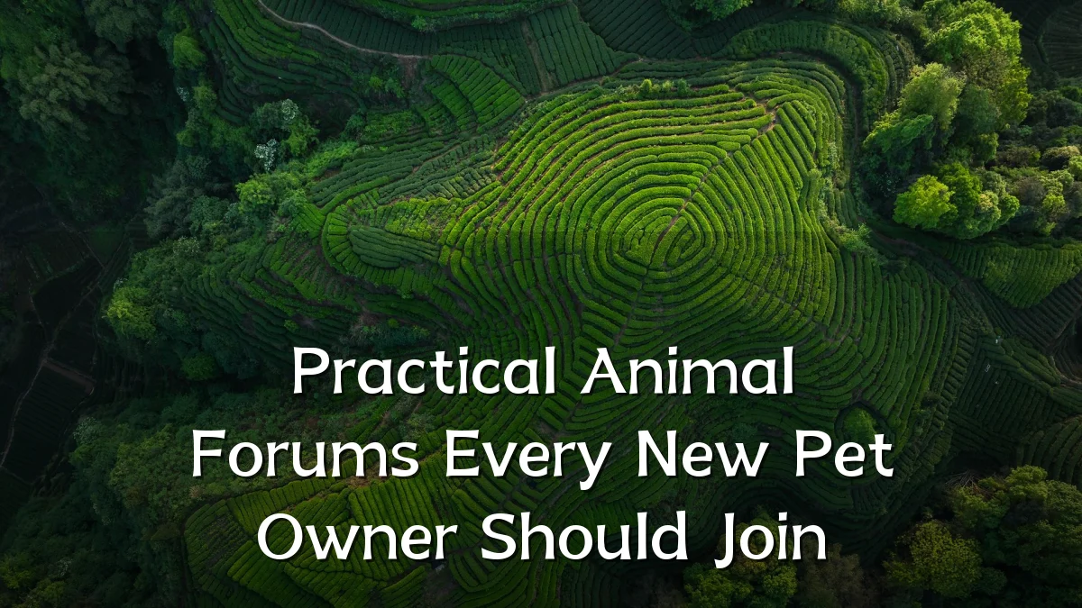 Practical Animal Forums Every New Pet Owner Should Join
