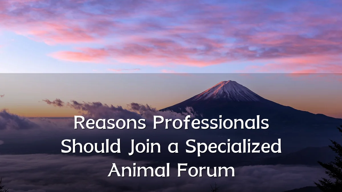 Reasons Professionals Should Join a Specialized Animal Forum