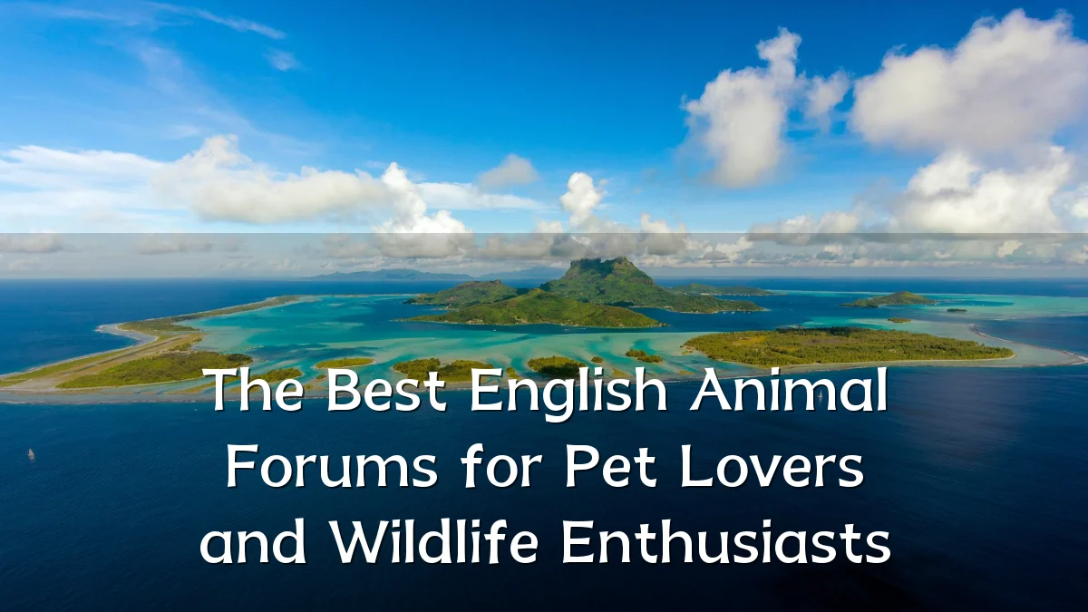 The Best English Animal Forums for Pet Lovers and Wildlife Enthusiasts