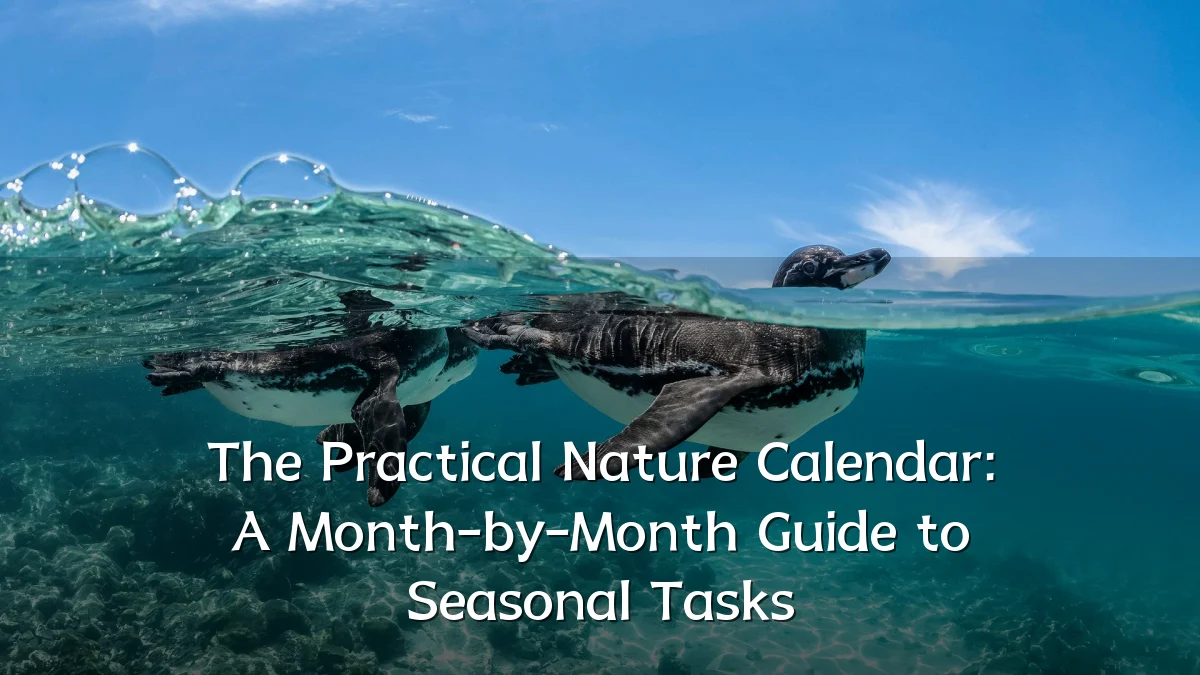 The Practical Nature Calendar: A Month-by-Month Guide to Seasonal Tasks