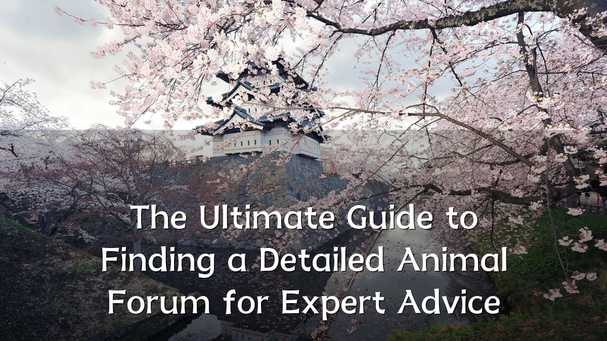 The Ultimate Guide to Finding a Detailed Animal Forum for Expert Advice
