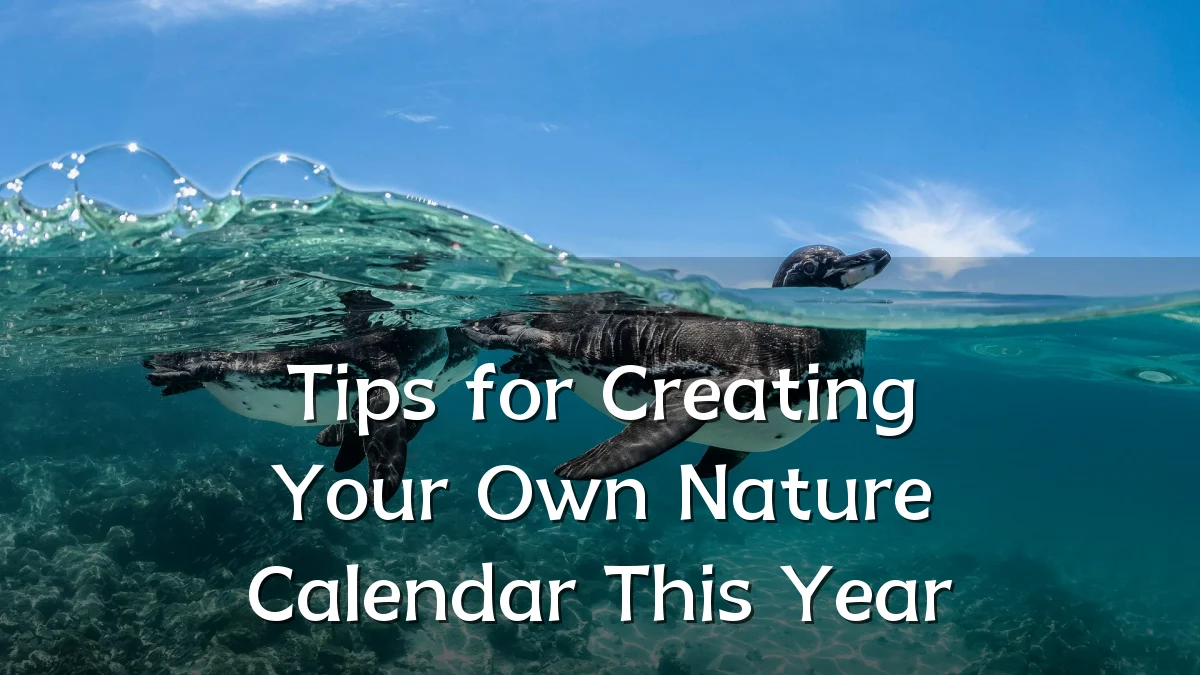 Tips for Creating Your Own Nature Calendar This Year