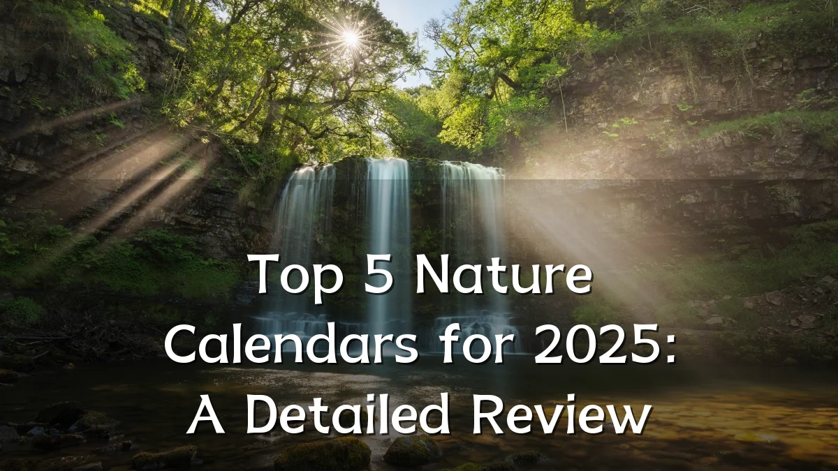 Top 5 Nature Calendars for 2025: A Detailed Review