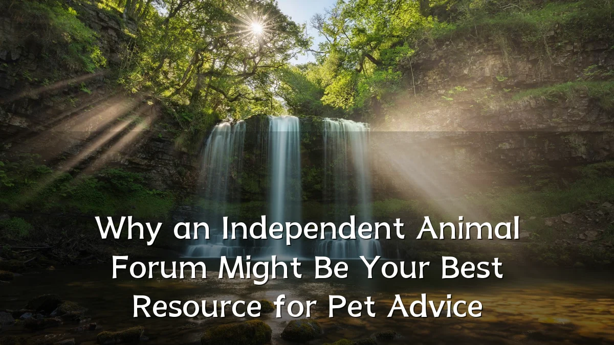 Why an Independent Animal Forum Might Be Your Best Resource for Pet Advice
