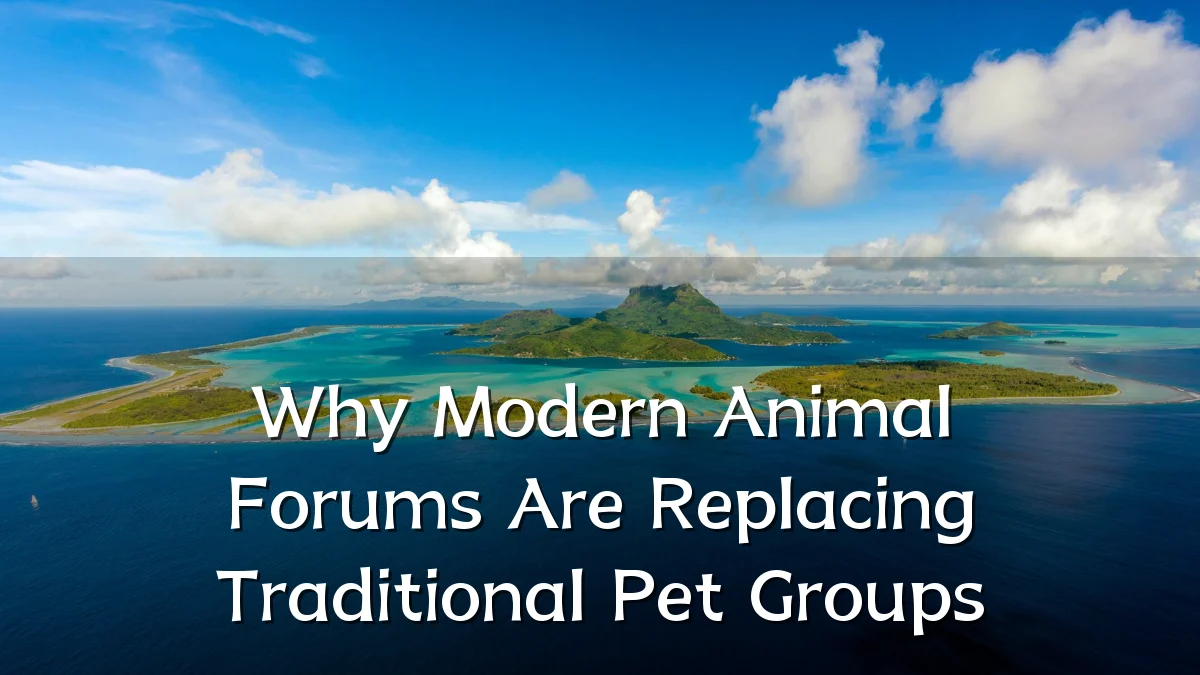 Why Modern Animal Forums Are Replacing Traditional Pet Groups