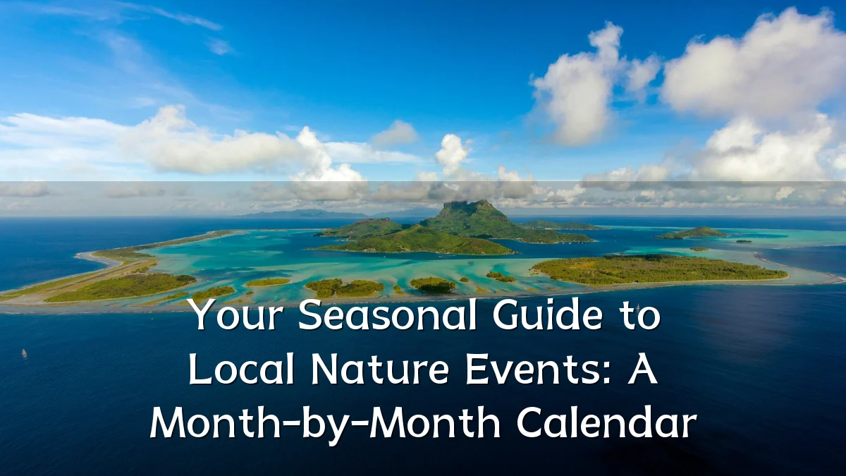 Your Seasonal Guide to Local Nature Events: A Month-by-Month Calendar