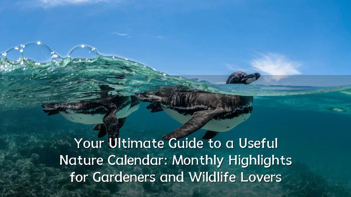 Your Ultimate Guide to a Useful Nature Calendar: Monthly Highlights for Gardeners and Wildlife Lovers