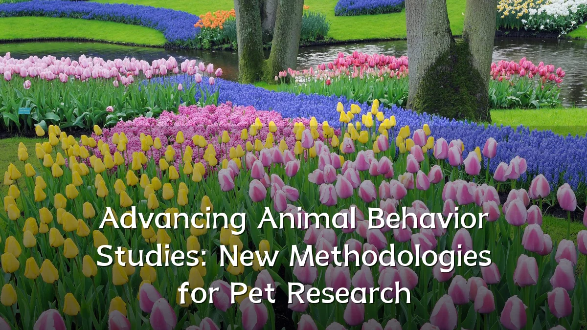 Advancing Animal Behavior Studies: New Methodologies for Pet Research