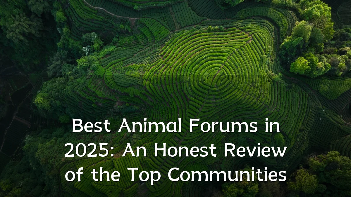 Best Animal Forums in 2025: An Honest Review of the Top Communities
