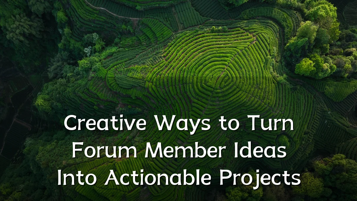 Creative Ways to Turn Forum Member Ideas Into Actionable Projects