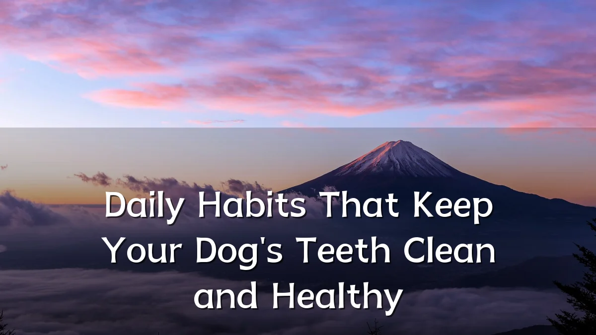 Daily Habits That Keep Your Dog's Teeth Clean and Healthy