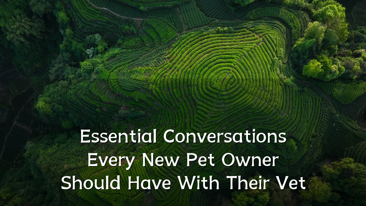 Essential Conversations Every New Pet Owner Should Have With Their Vet