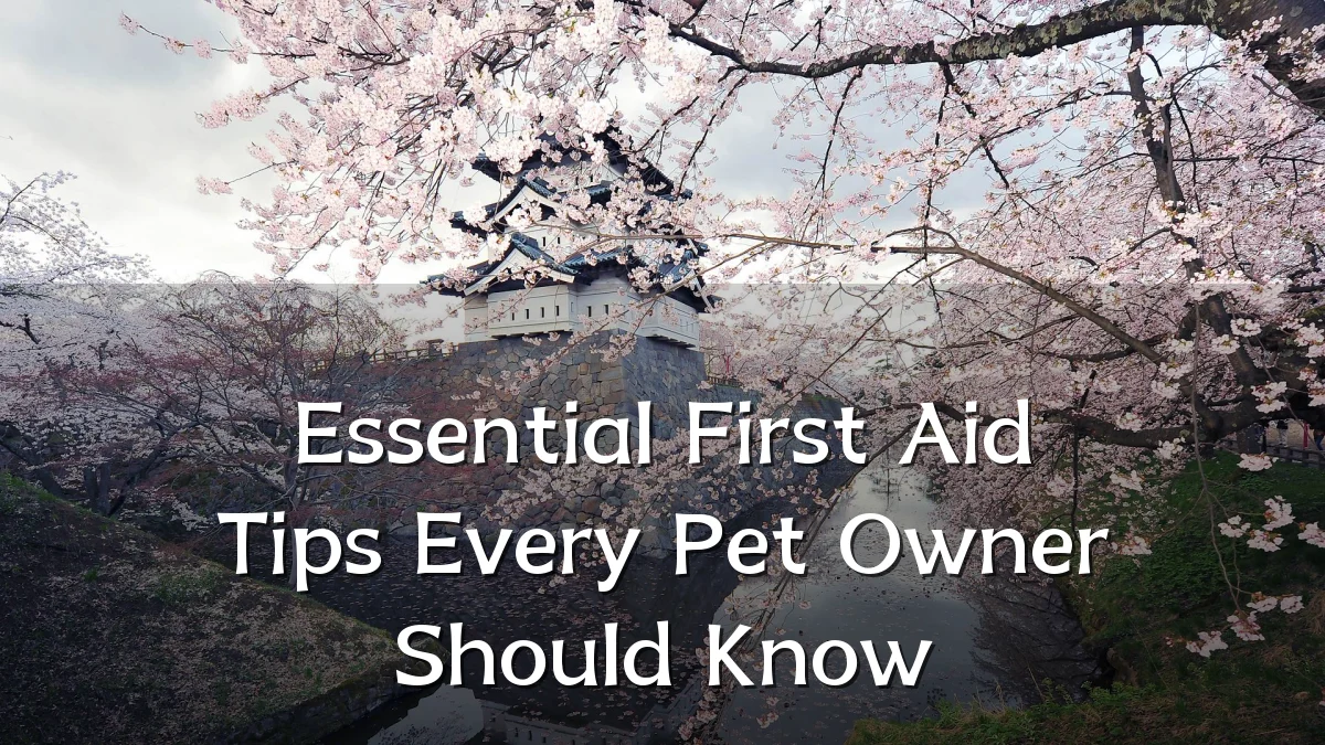 Essential First Aid Tips Every Pet Owner Should Know