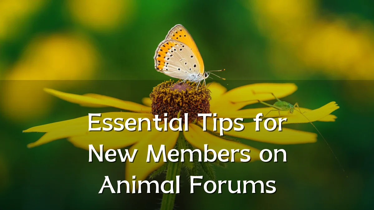 Essential Tips for New Members on Animal Forums