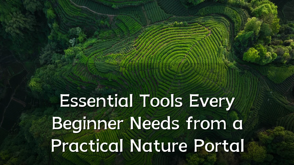 Essential Tools Every Beginner Needs from a Practical Nature Portal