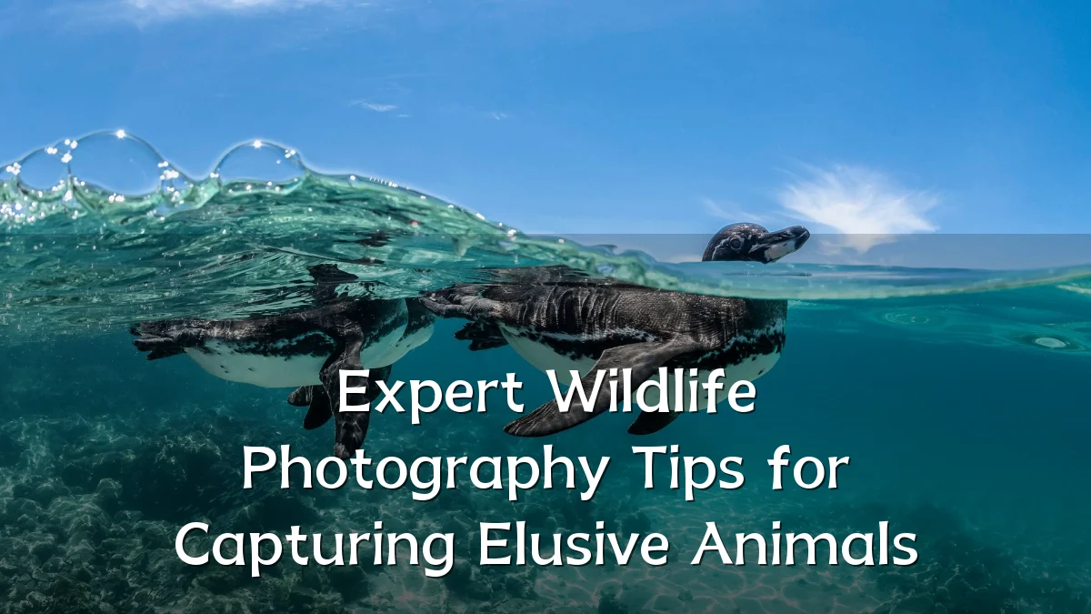 Expert Wildlife Photography Tips for Capturing Elusive Animals