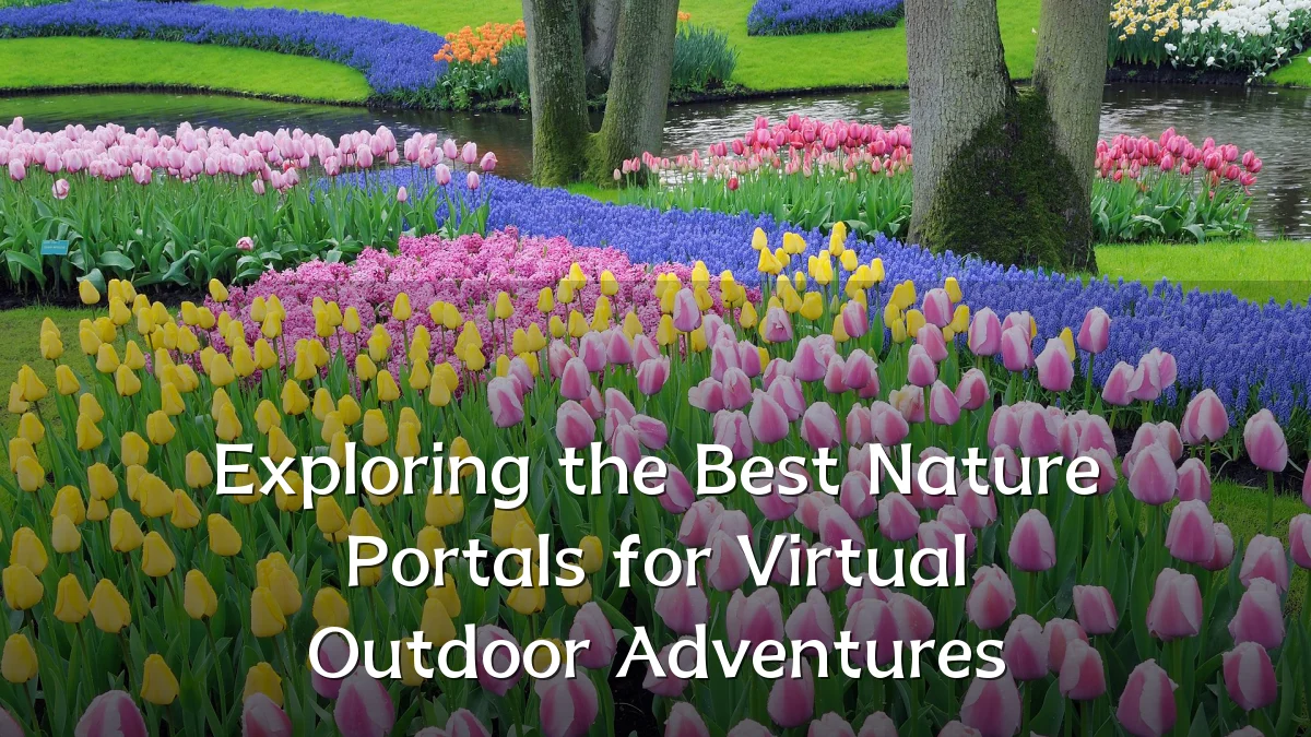 Exploring the Best Nature Portals for Virtual Outdoor Adventures