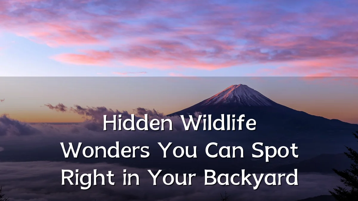 Hidden Wildlife Wonders You Can Spot Right in Your Backyard