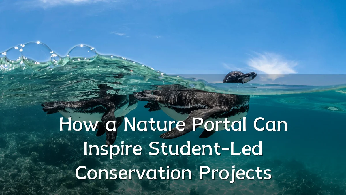 How a Nature Portal Can Inspire Student-Led Conservation Projects