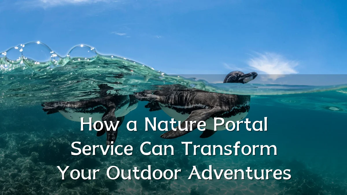 How a Nature Portal Service Can Transform Your Outdoor Adventures