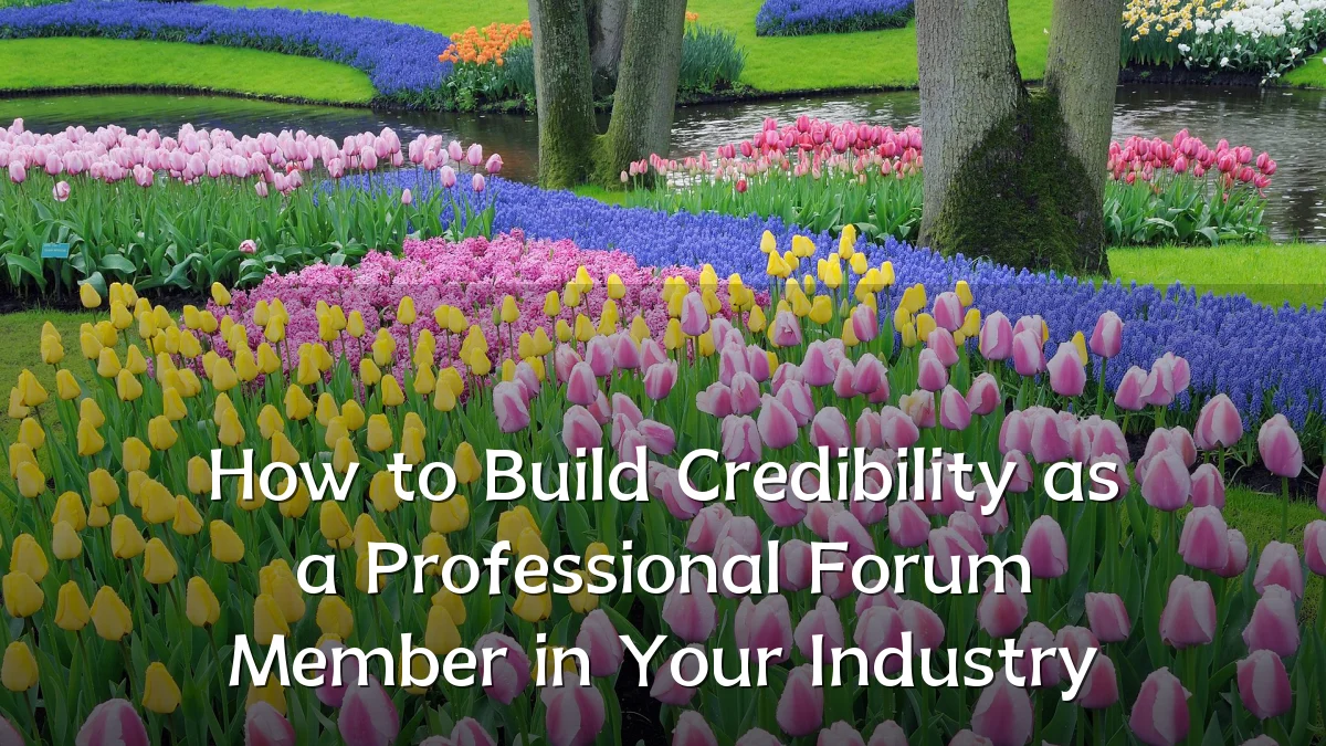 How to Build Credibility as a Professional Forum Member in Your Industry