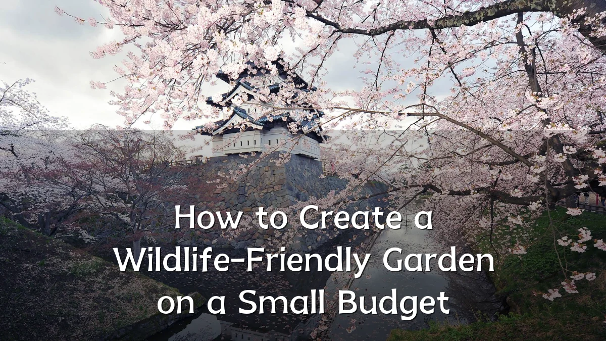 How to Create a Wildlife-Friendly Garden on a Small Budget