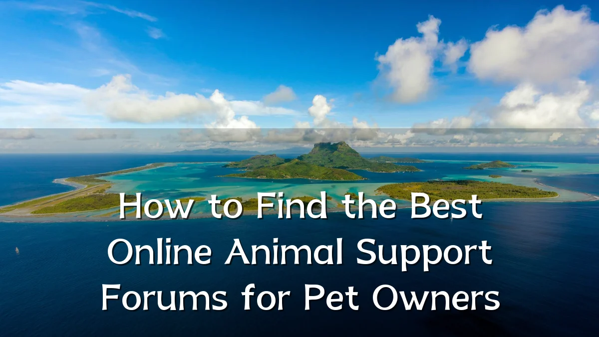 How to Find the Best Online Animal Support Forums for Pet Owners