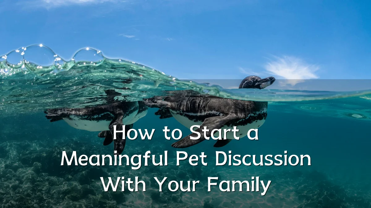 How to Start a Meaningful Pet Discussion With Your Family