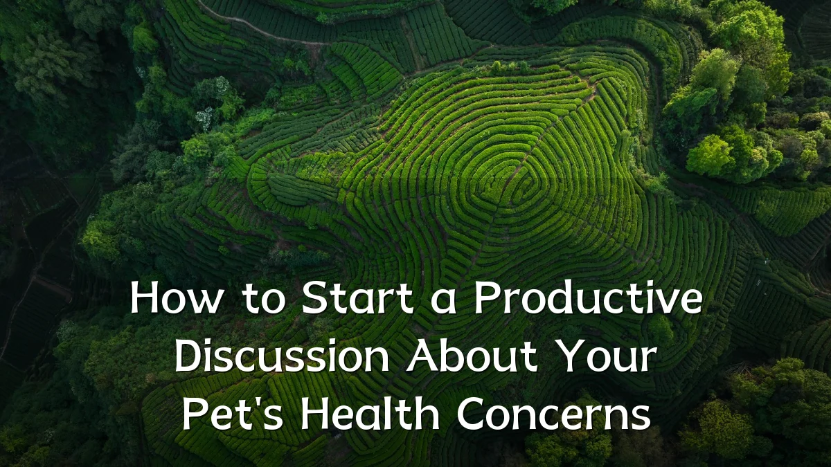 How to Start a Productive Discussion About Your Pet's Health Concerns