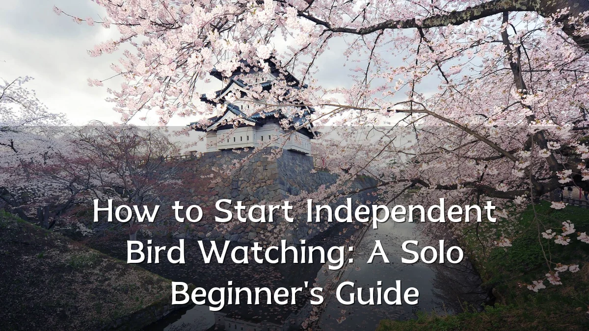 How to Start Independent Bird Watching: A Solo Beginner's Guide