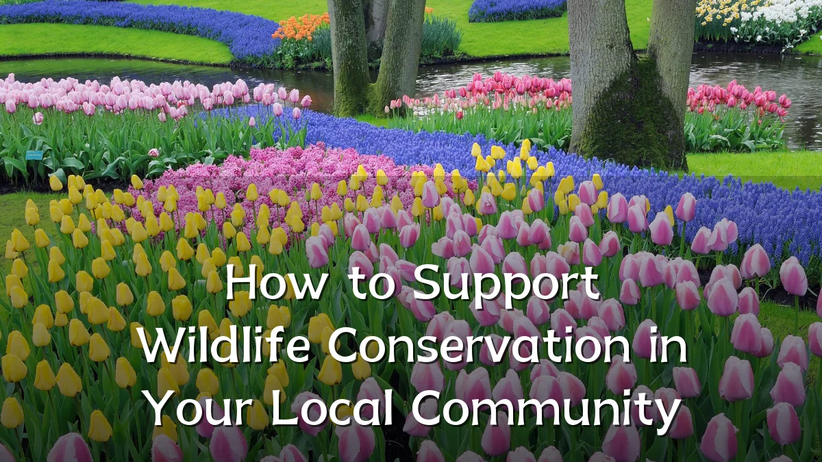 How to Support Wildlife Conservation in Your Local Community