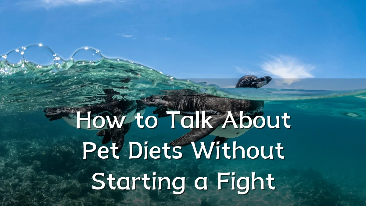 How to Talk About Pet Diets Without Starting a Fight