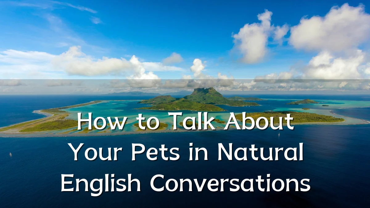 How to Talk About Your Pets in Natural English Conversations