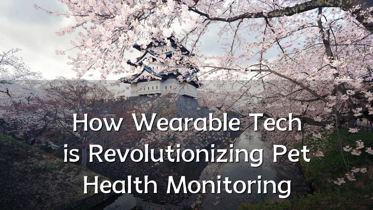 How Wearable Tech is Revolutionizing Pet Health Monitoring