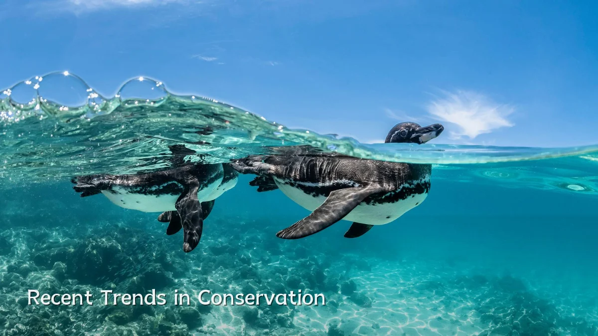 Recent Trends in Conservation