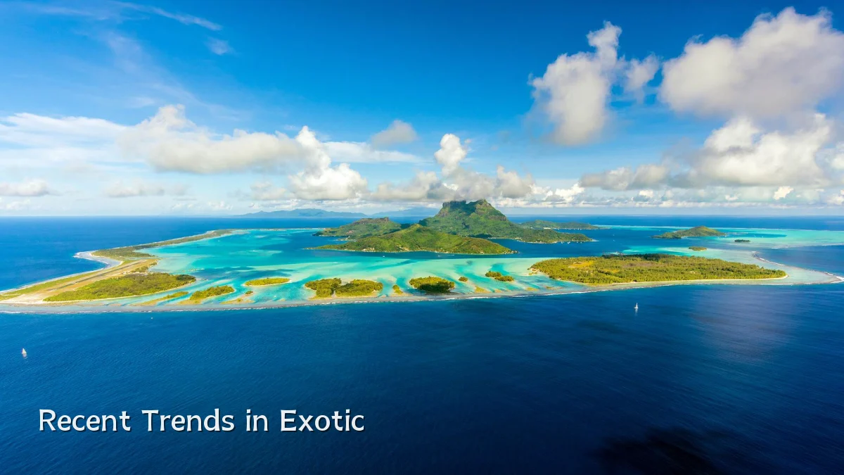 Recent Trends in Exotic