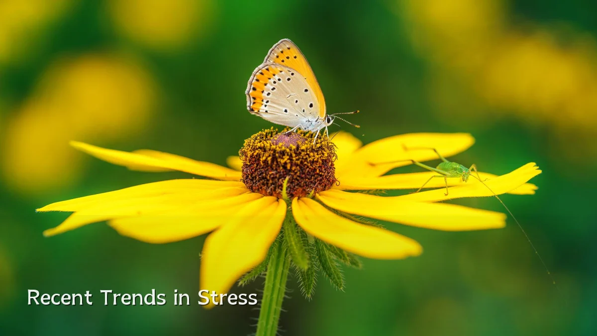 Recent Trends in Stress